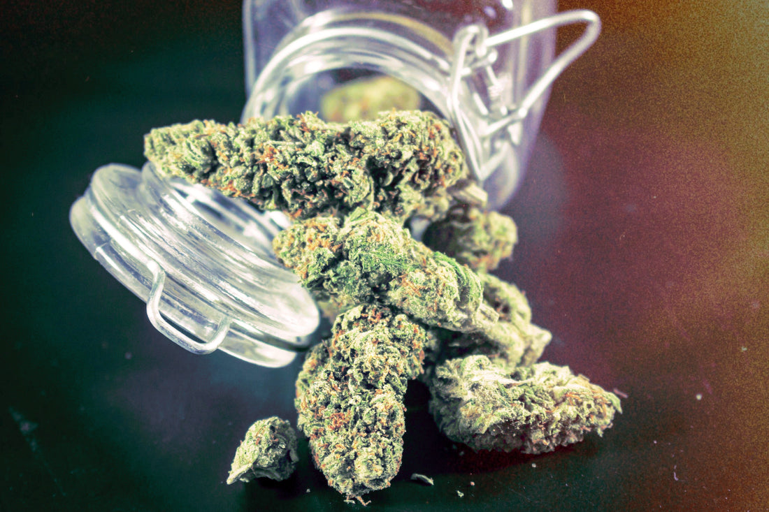 THC vs. THCa: What’s the Difference and Why It Matters