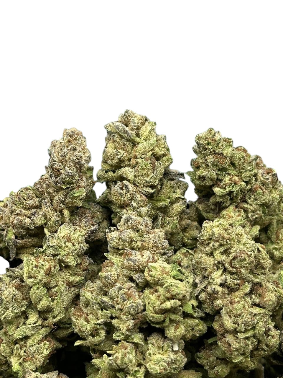 Tropical Cherries (Sativa)