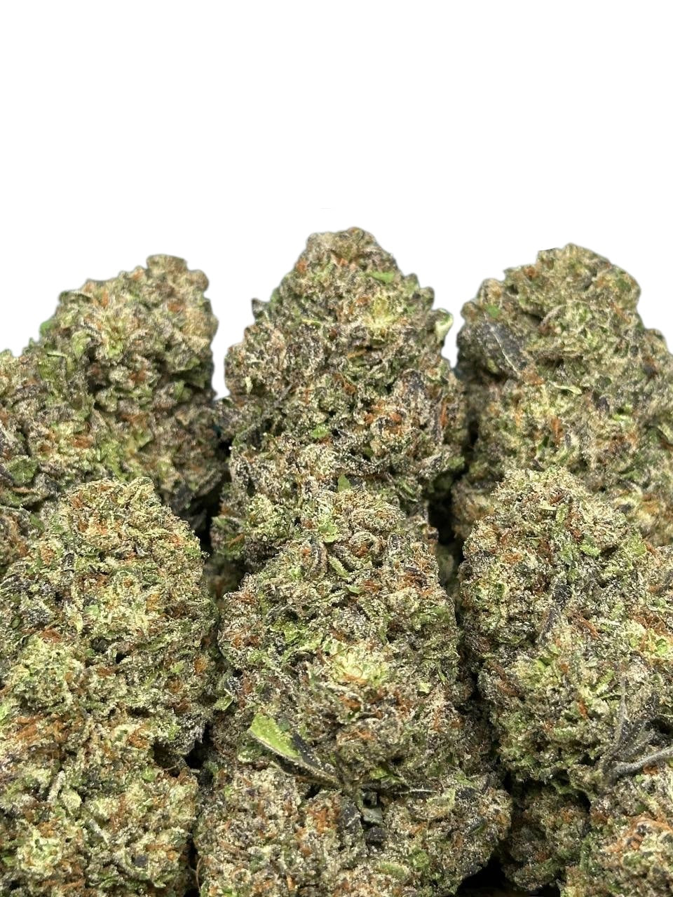 Cherry Hos (Indica)