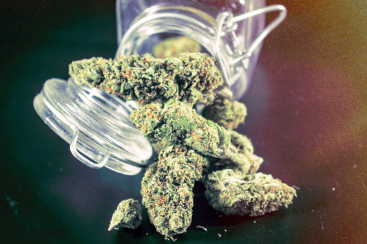 THC vs. THCa: What’s the Difference and Why It Matters