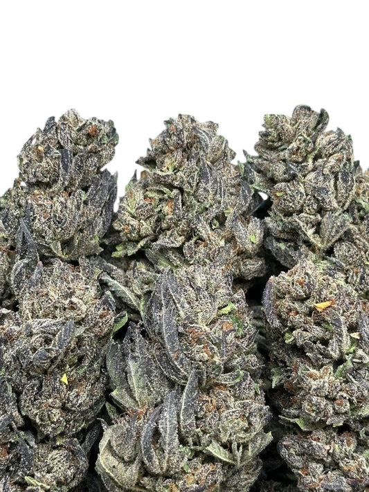 Biscotti (Indica Hybrid)
