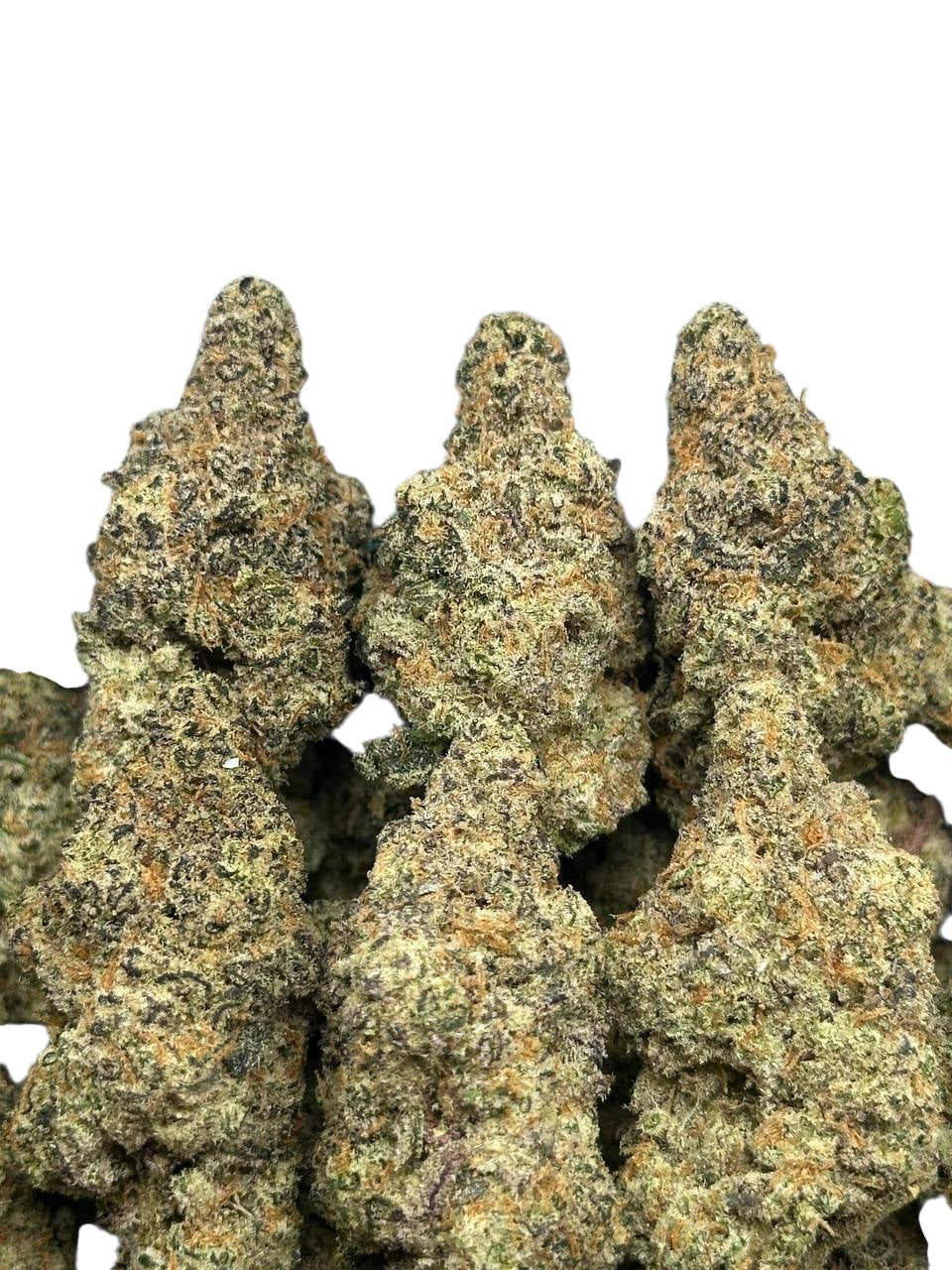 Blueberry Exotics (Hybrid)