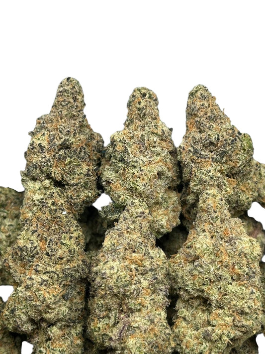 Blueberry Exotics (Hybrid)