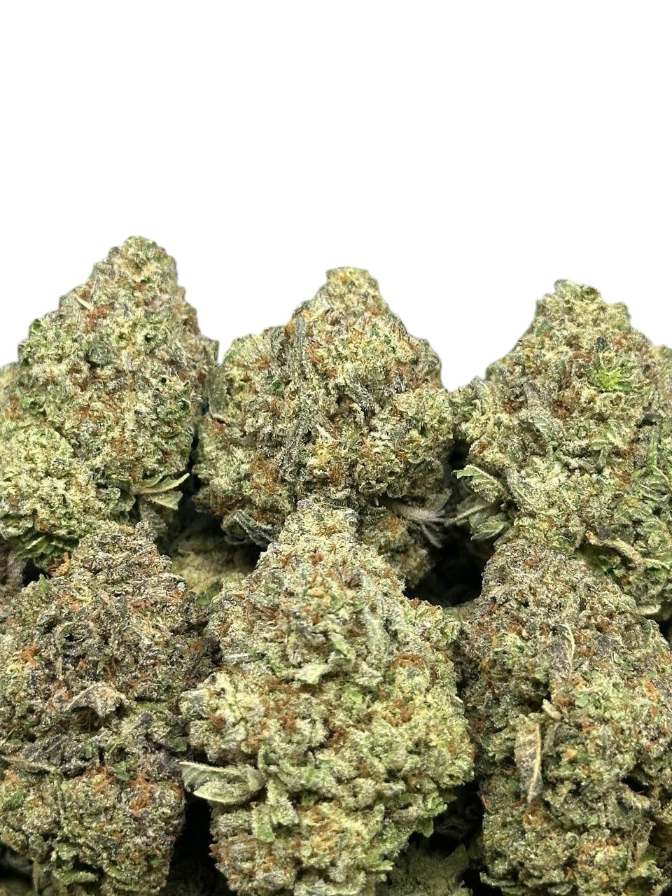 Apple Fritter (Hybrid)