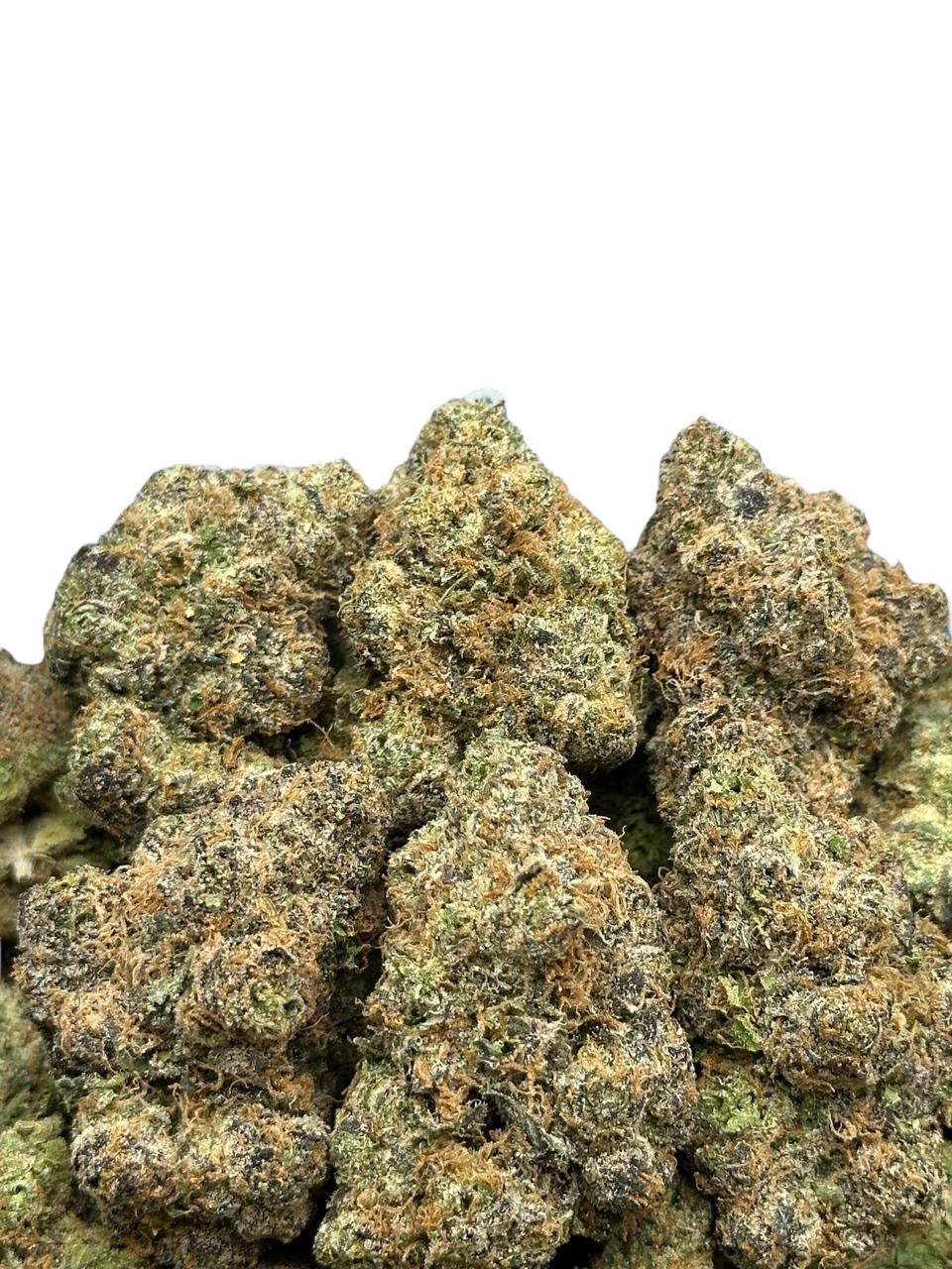 Jelly Zonut (Hybrid)