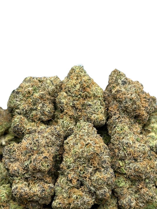Jelly Zonut (Hybrid)