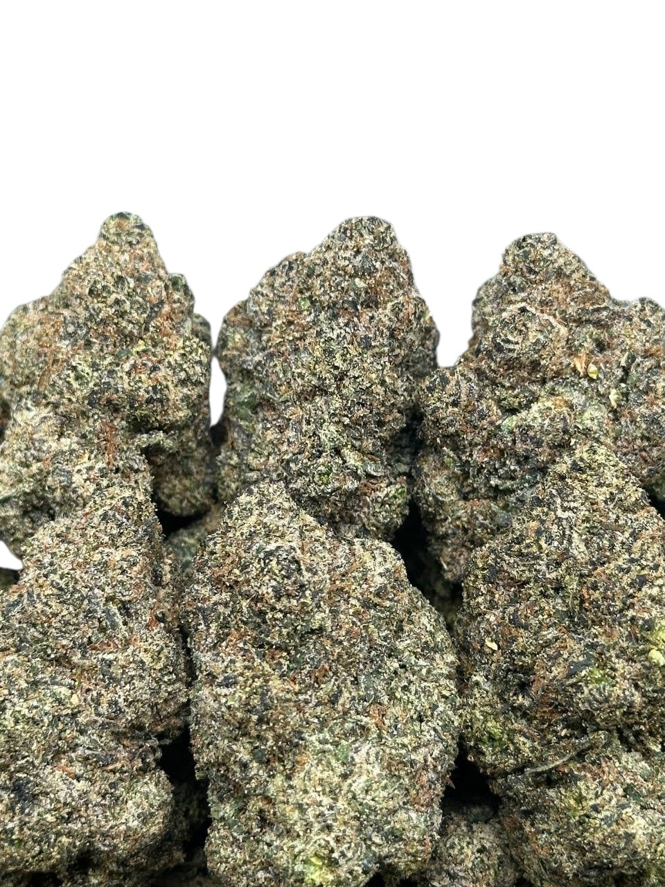 Mango Exotic (indica)