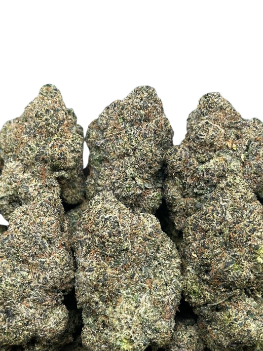 Mango Exotic (indica)